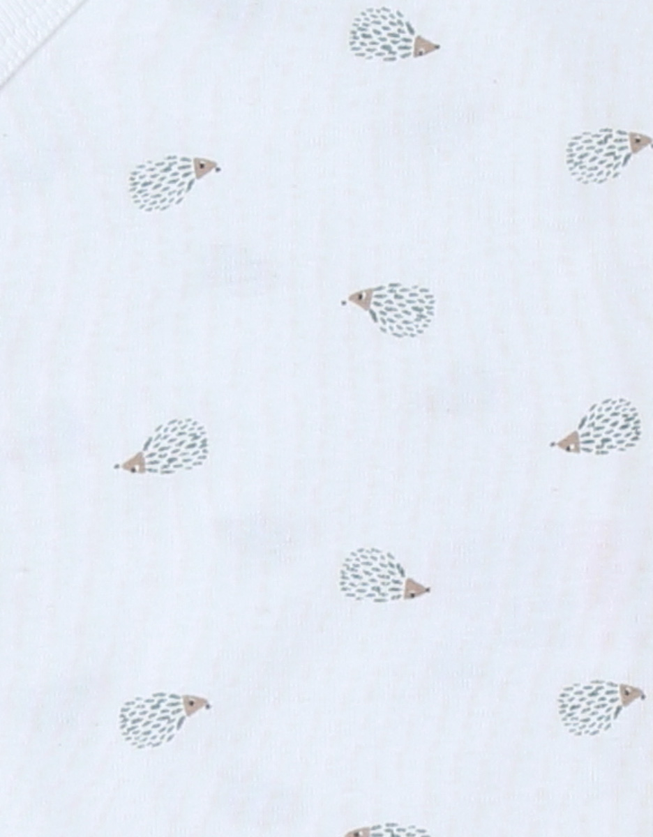 Pack of 2 Bodysuits, Jersey