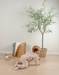 Beige velours pyjama met geborduurde leeuw
