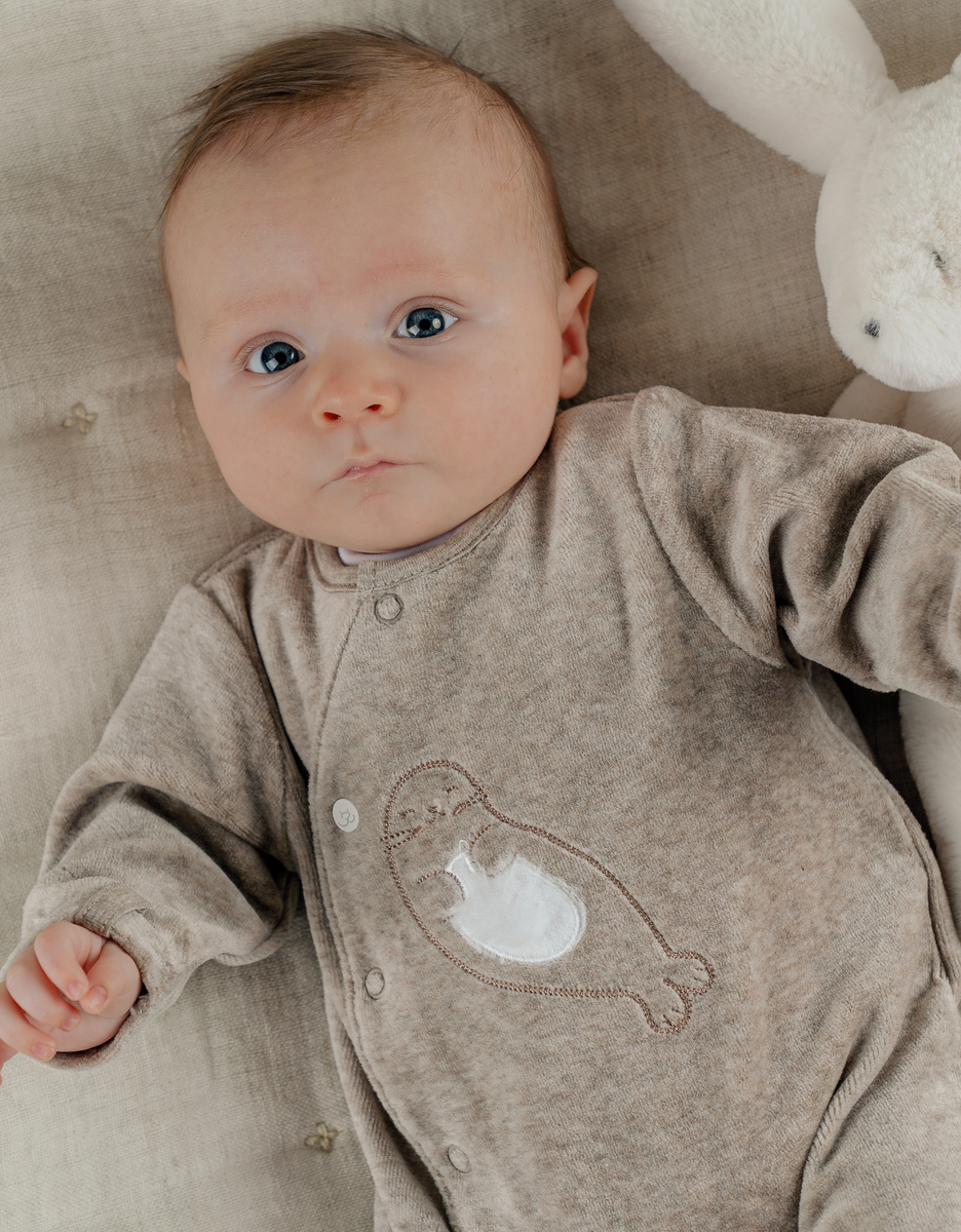 Beige babypyjama met zeehondenborduursel in fluweel
