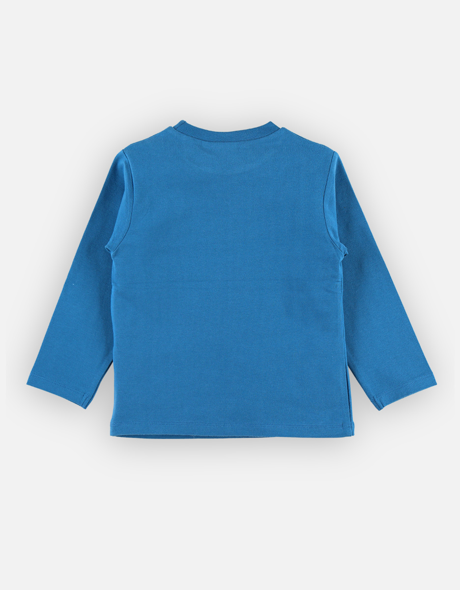 BIO katoenen t-shirt, koningsblauw