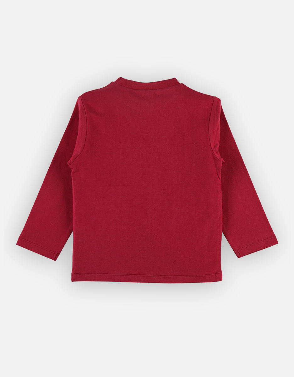 BIO katoenen t-shirt, bordeaux