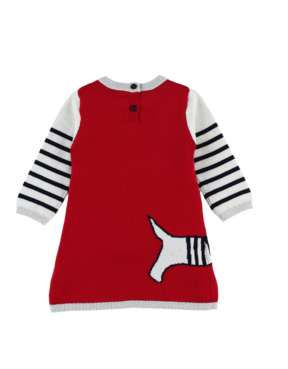 Knitted red and navy blue dog dress