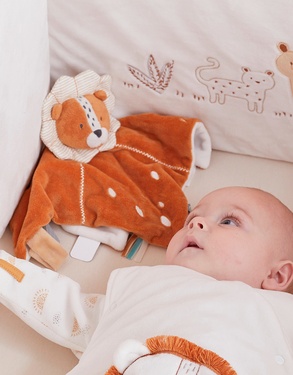 Doudou Babou, Lion