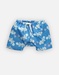 Cameleon Blue Swimshorts Double Protection