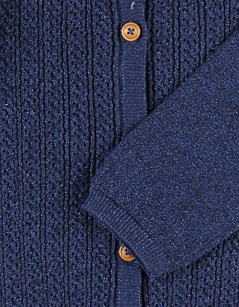 Knitted lurex cardigan, navy