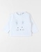 T-shirt lapin, Jersey