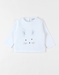 T-shirt lapin, Jersey