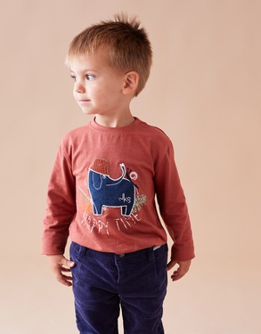 BIO katoenen t-shirt met een olifant, oranje en donkerblauw