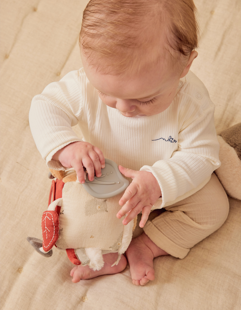 Multi-activity cube - Fluffy, Orso & Lily