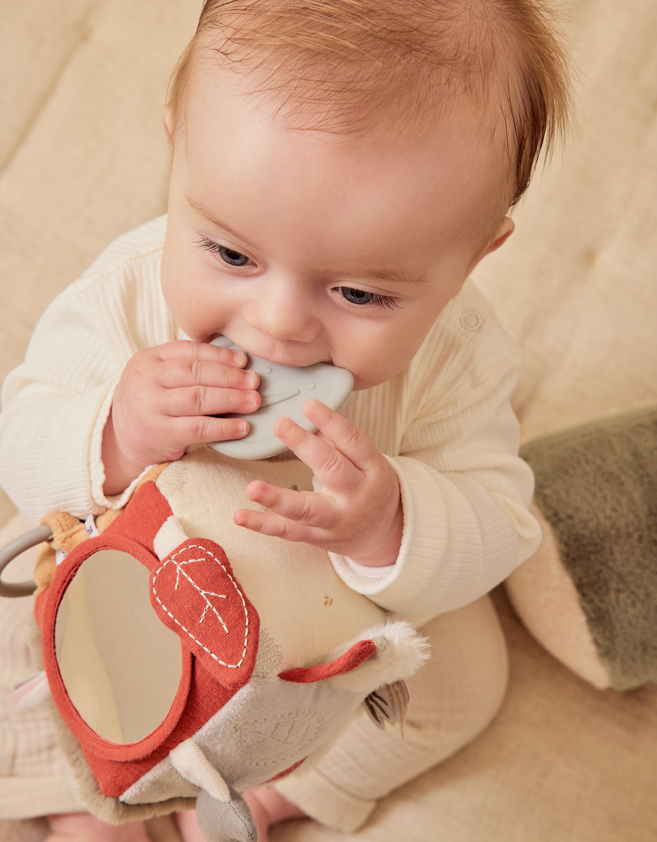 Multi-activity cube - Fluffy, Orso & Lily