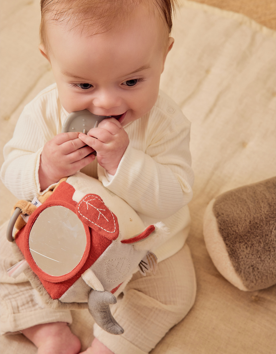 Multi-activity cube - Fluffy, Orso & Lily