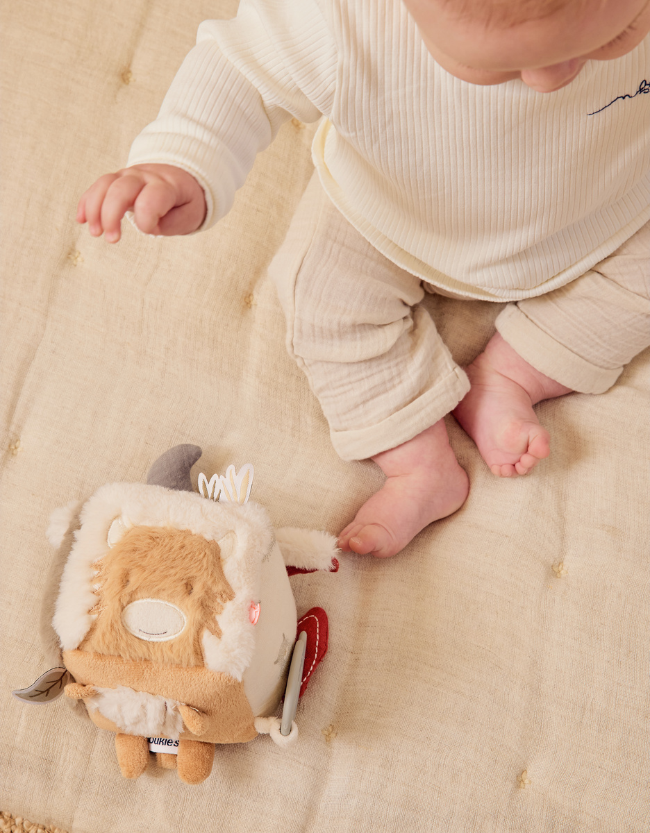 Multi-activity cube - Fluffy, Orso & Lily