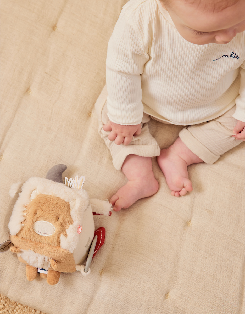Multi-activity cube - Fluffy, Orso & Lily