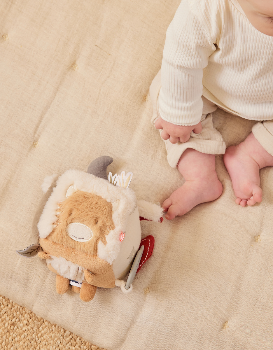 Multi-activity cube - Fluffy, Orso & Lily