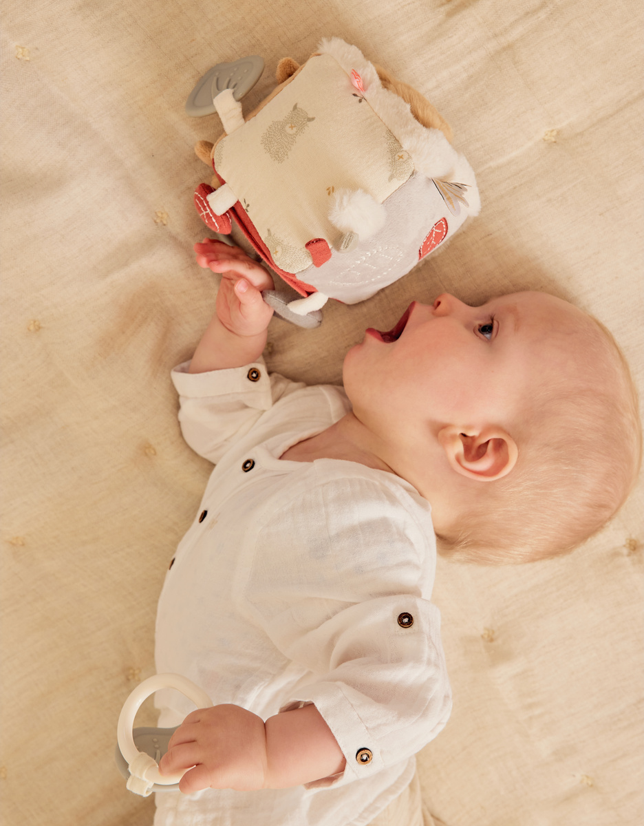 Multi-activity cube - Fluffy, Orso & Lily