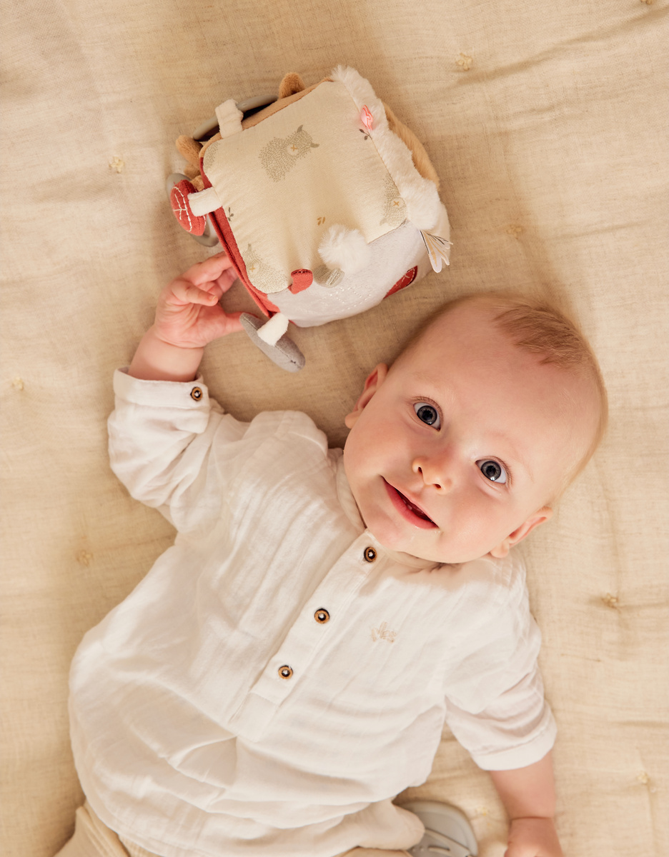 Multi-activity cube - Fluffy, Orso & Lily