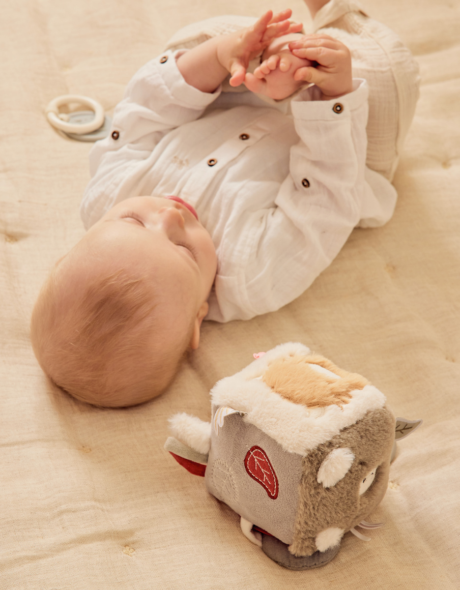 Multi-activity cube - Fluffy, Orso & Lily