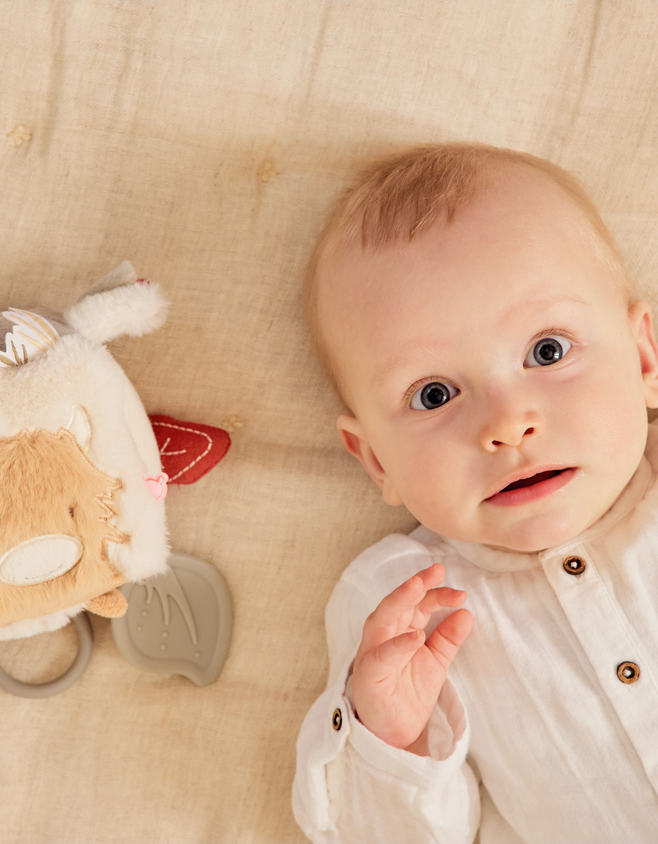 Multi-activity cube - Fluffy, Orso & Lily
