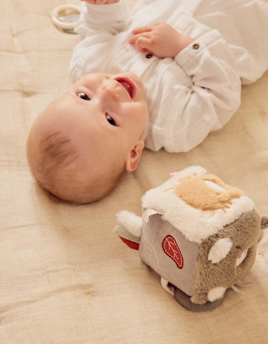 Multi-activity cube - Fluffy, Orso & Lily