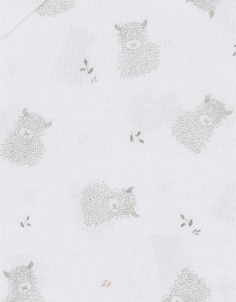 Set of 2 wrap bodysuits in organic jersey cotton
