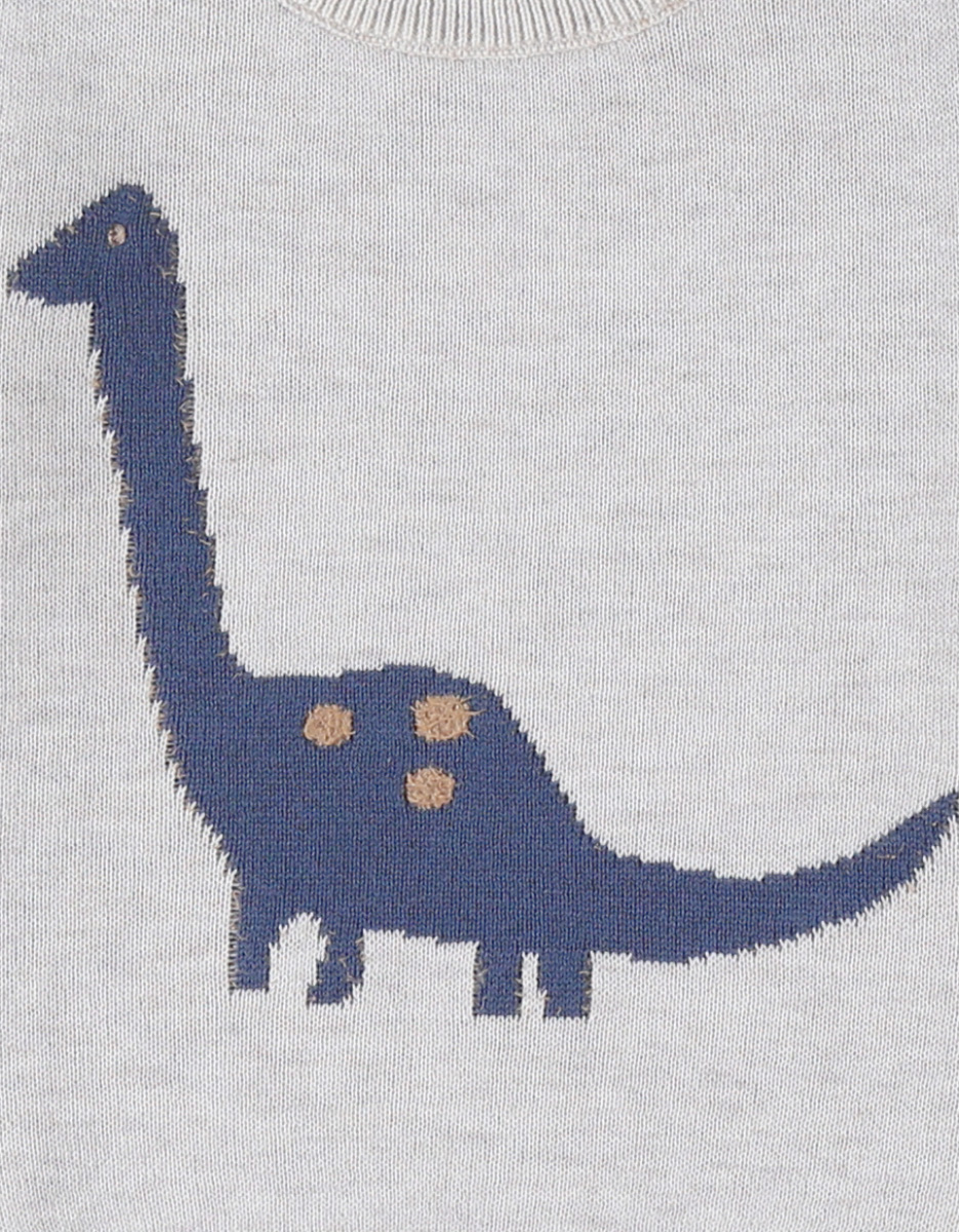 Pull en tricot, dino