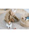 TINY BIO shape sorter set