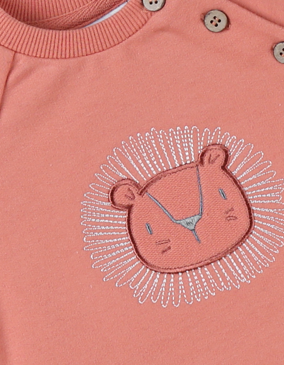 Sweater met leeuw, terracotta