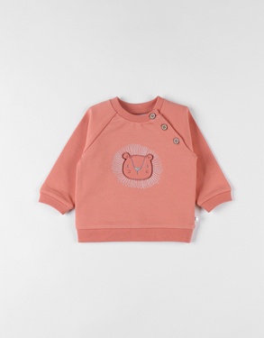 Sweater met leeuw, terracotta