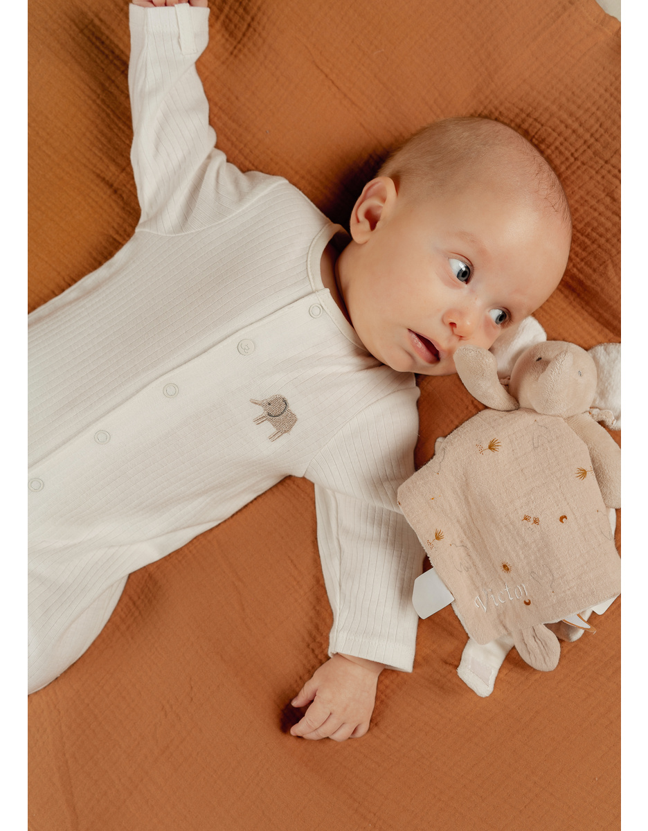 Lot de 3 pyjamas bébé, jersey