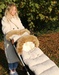 Waterafstotend canvas wanten voor kinderwagen, beige