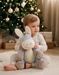 Paco 40cm – The Original, with Gift Pouch