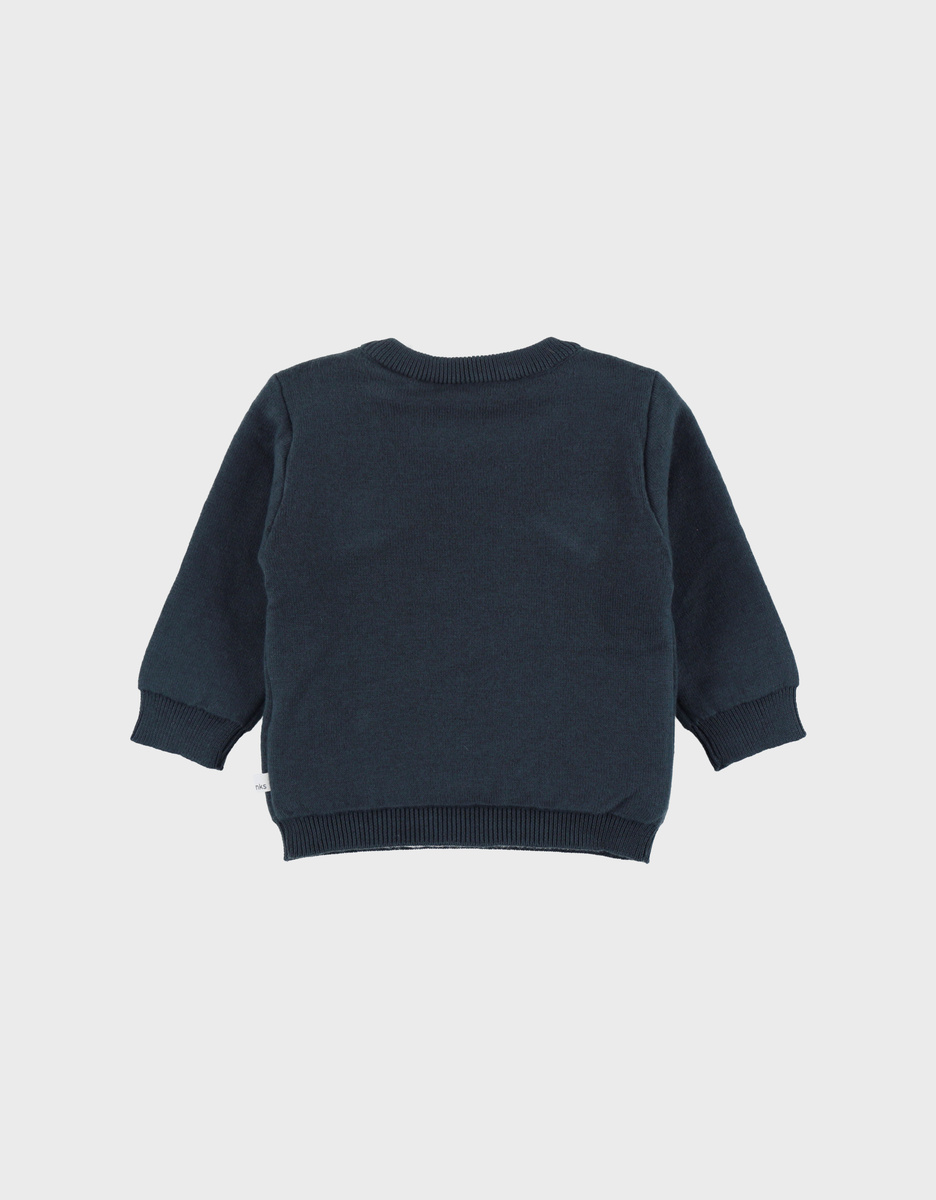 Blue knit sweater with tiger pattern
