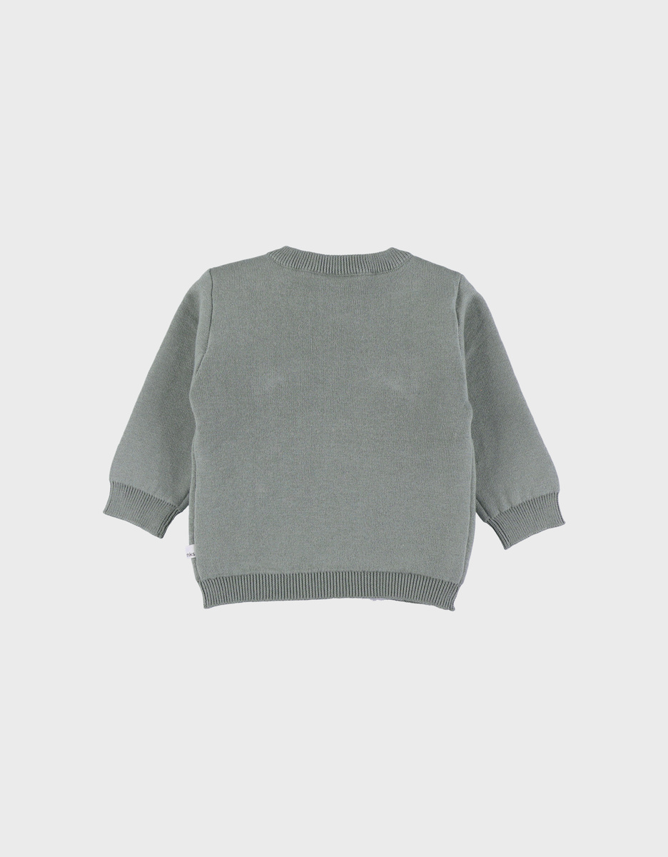 Green knit sweater with tiger pattern
