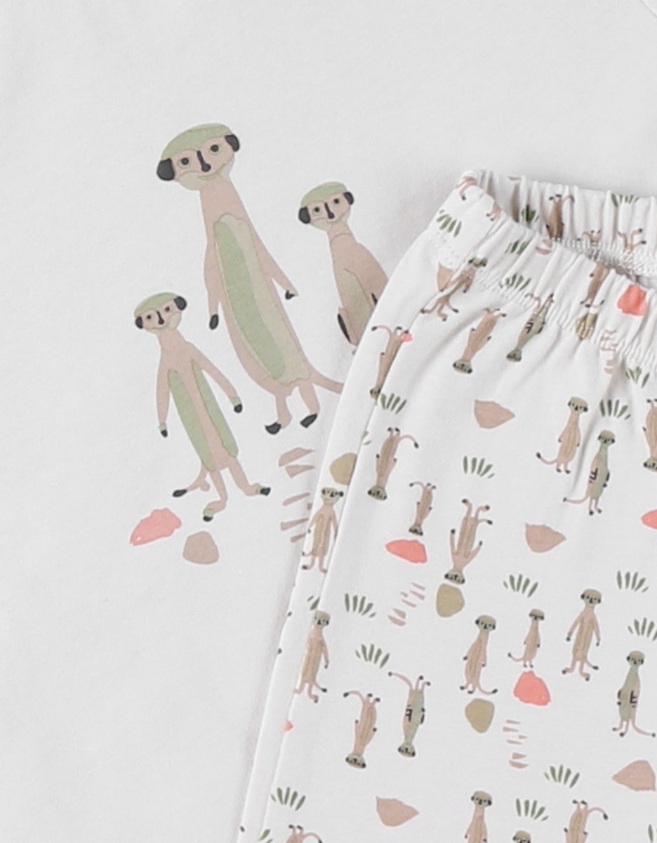 Pyjamas, Jersey 
