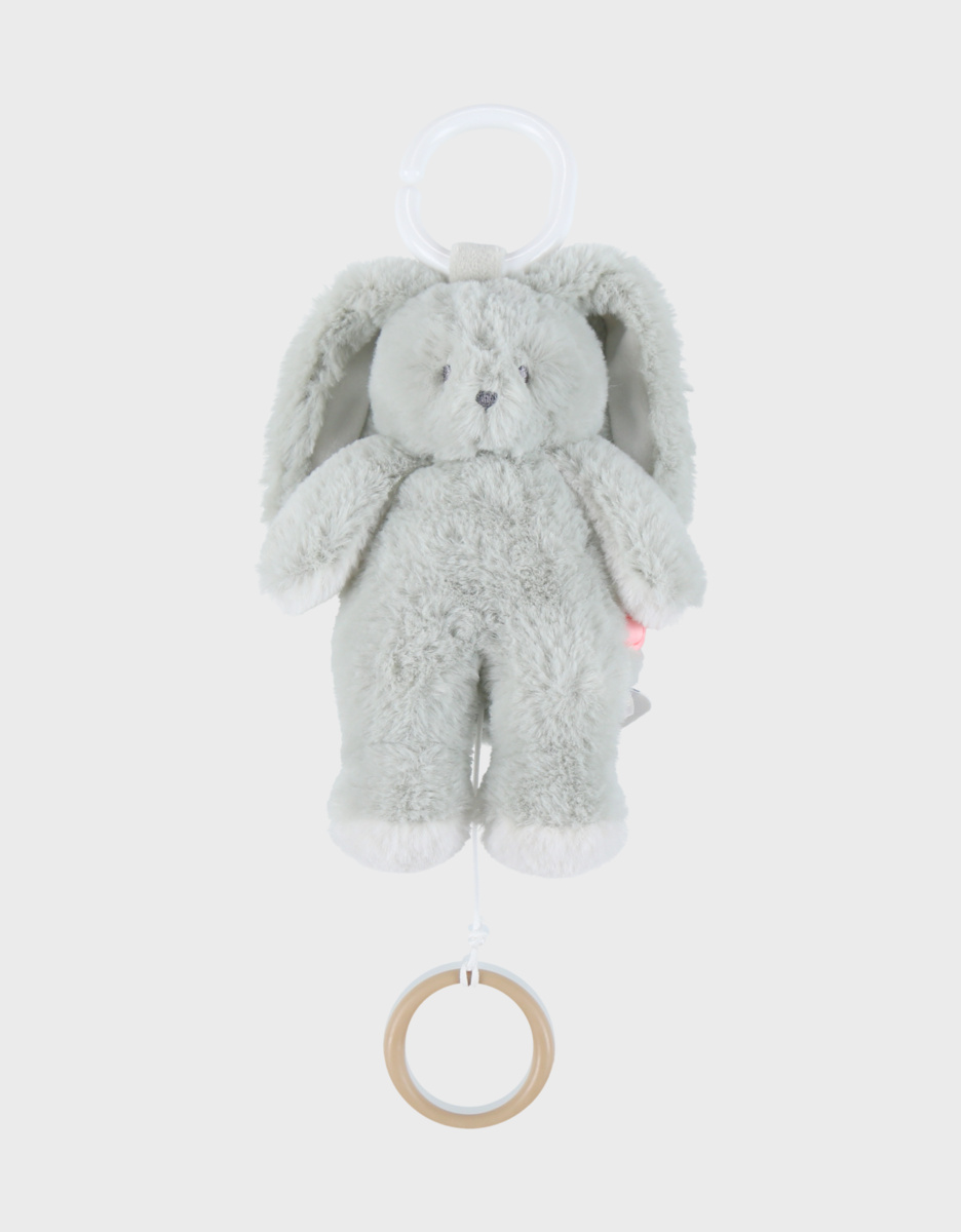 Peluche mini-musicale 20cm - Verdi