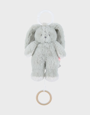 Peluche mini-musicale 20cm - Verdi