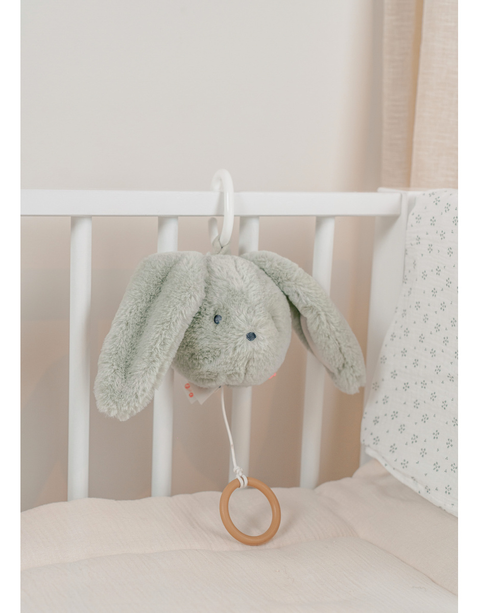 Peluche mini-musicale 20cm - Verdi