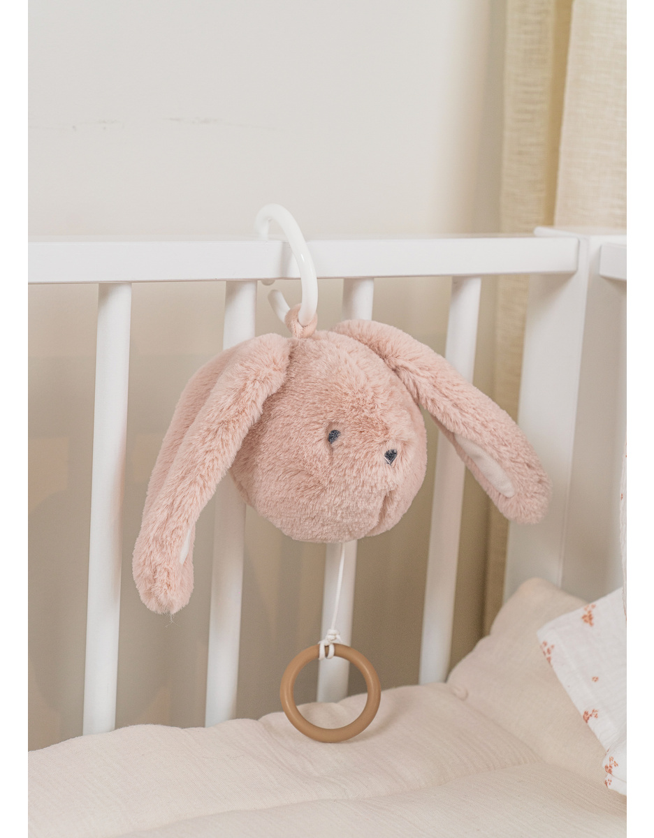 Mini muzikale knuffel 20cm - Rosie