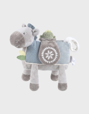 Activiteiten poney Lino