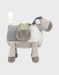 Activiteiten poney Lino