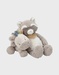 Plush Toy 25cm - Raku Raccoon