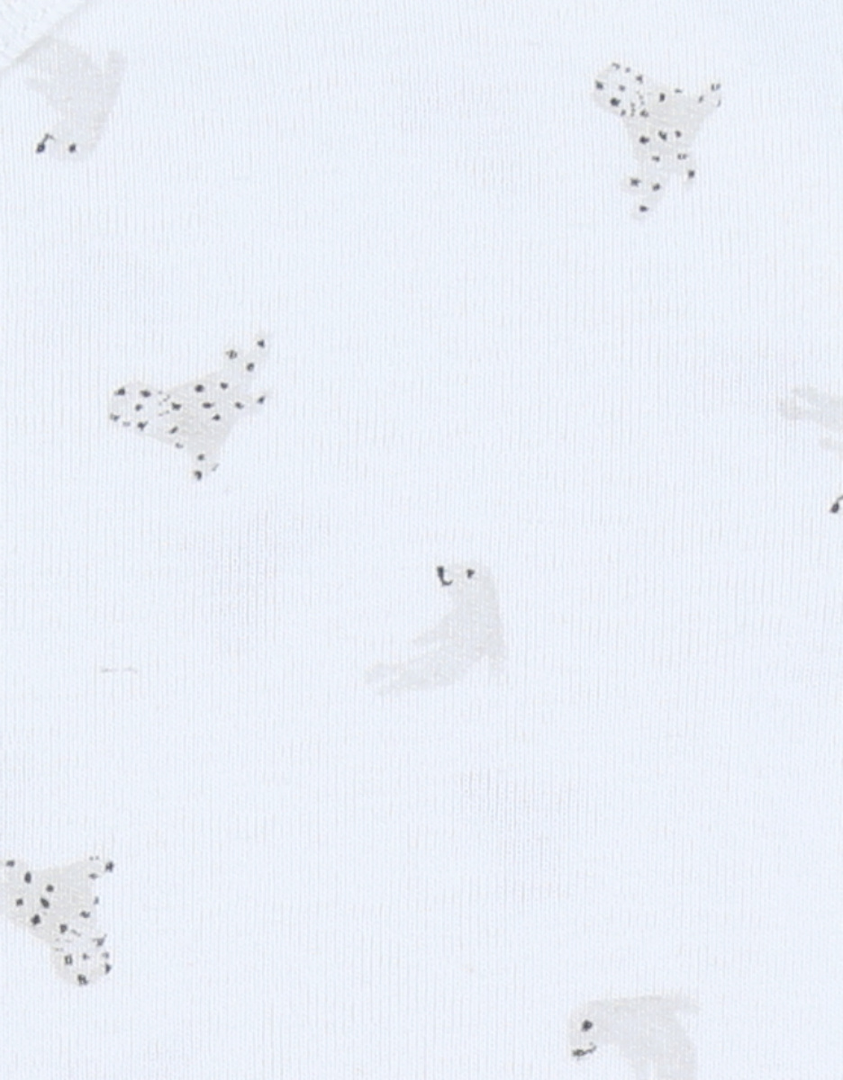 Set of 2 cotton bodysuits
