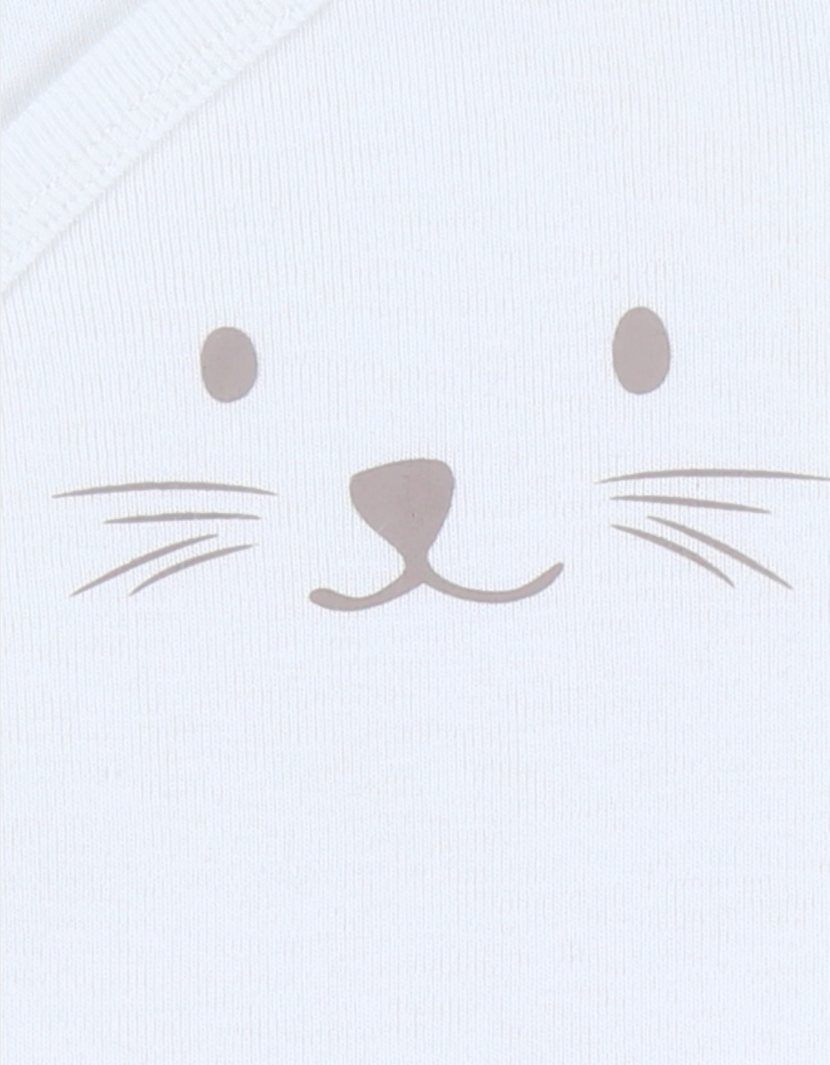 Set of 2 cotton bodysuits
