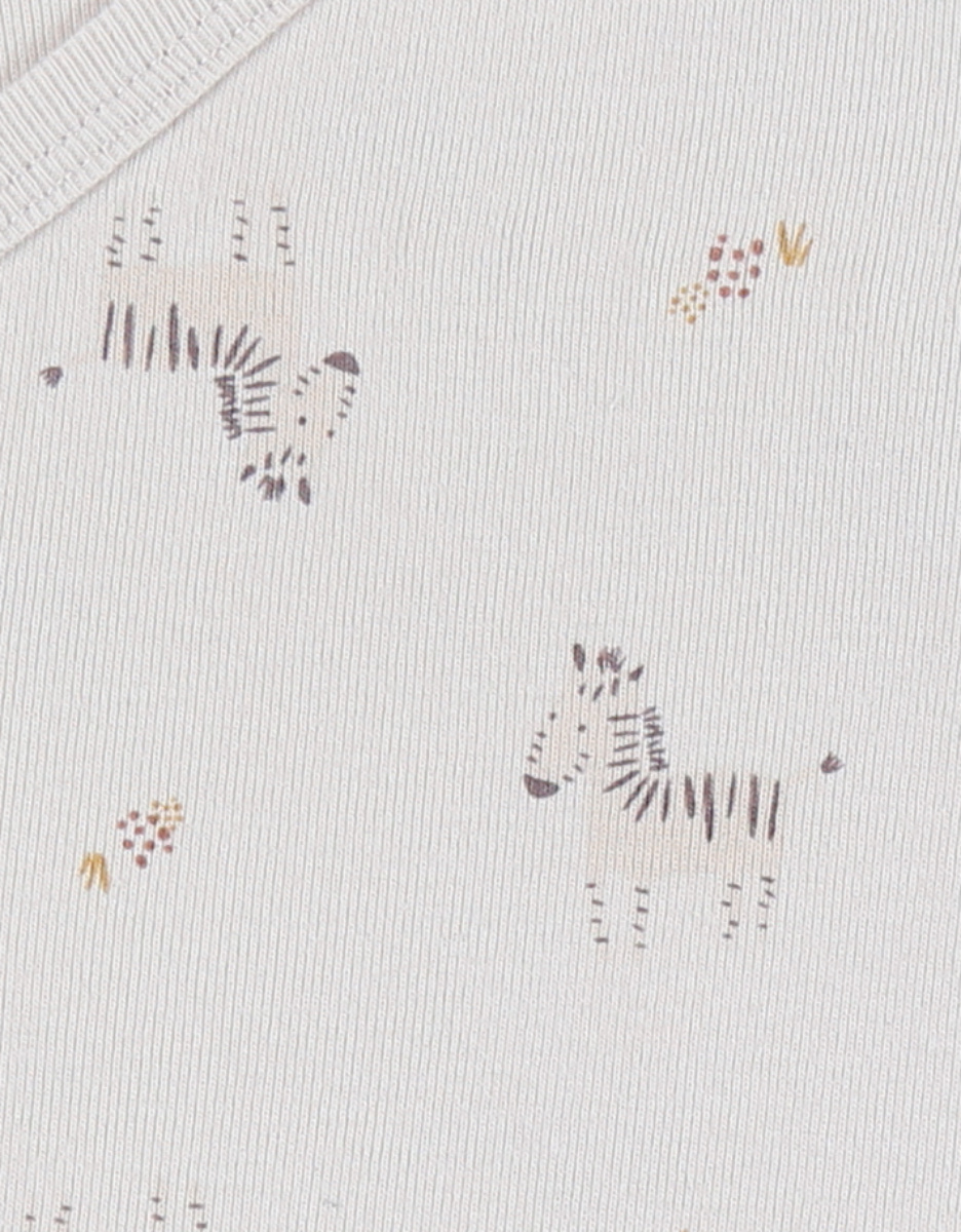 Set of 2 cotton bodysuits
