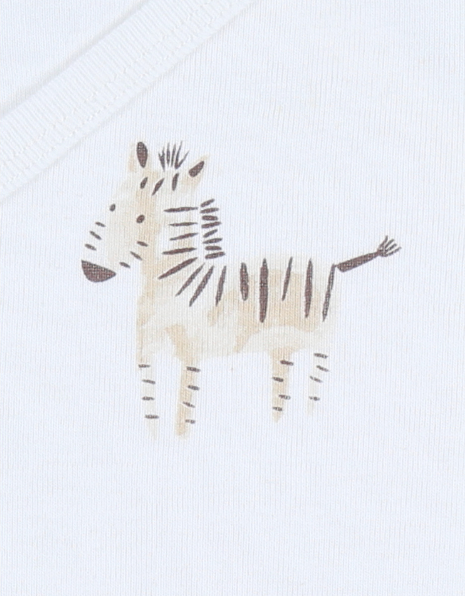 Set of 2 cotton bodysuits
