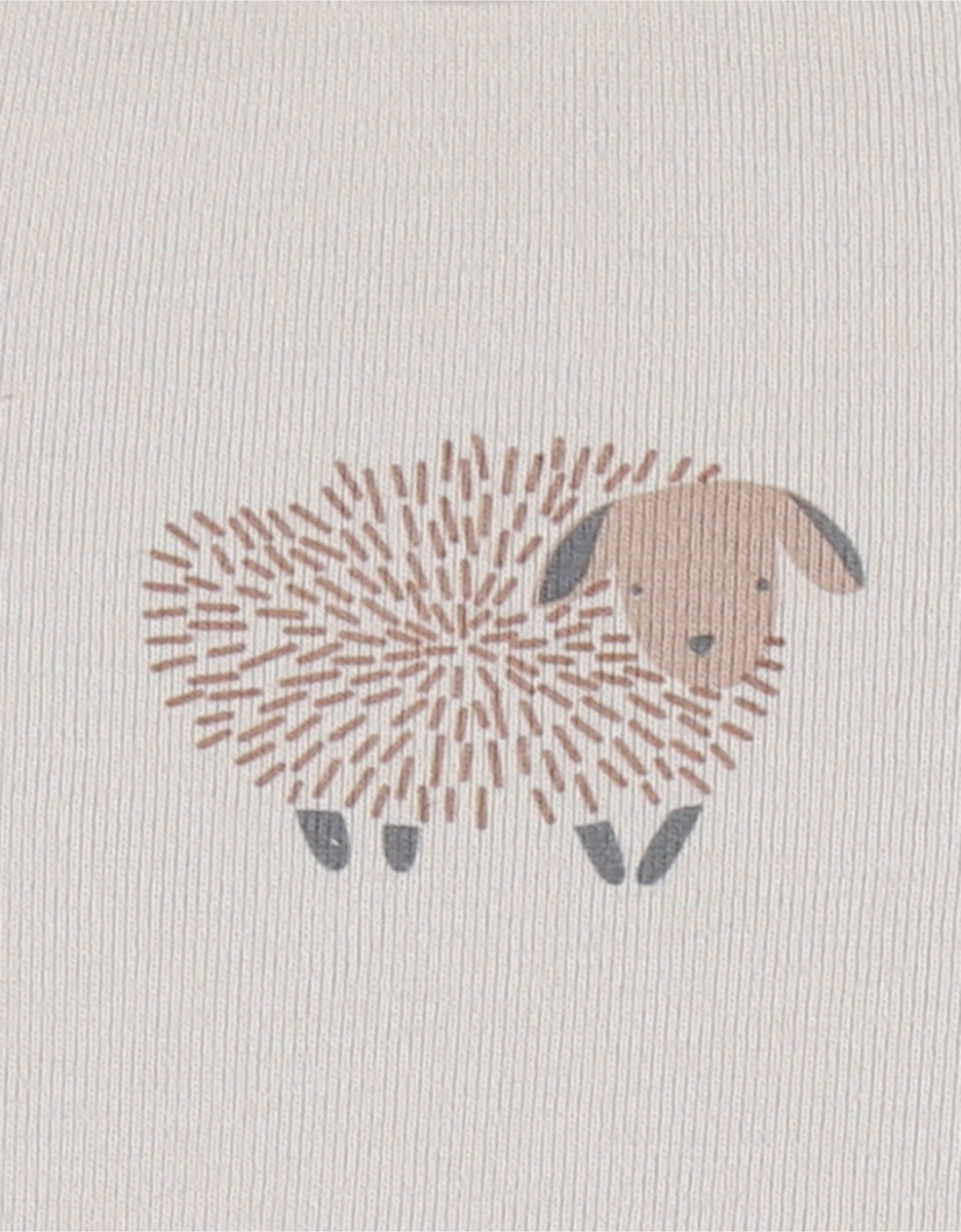 Set of 2 Bodysuits, Cotton