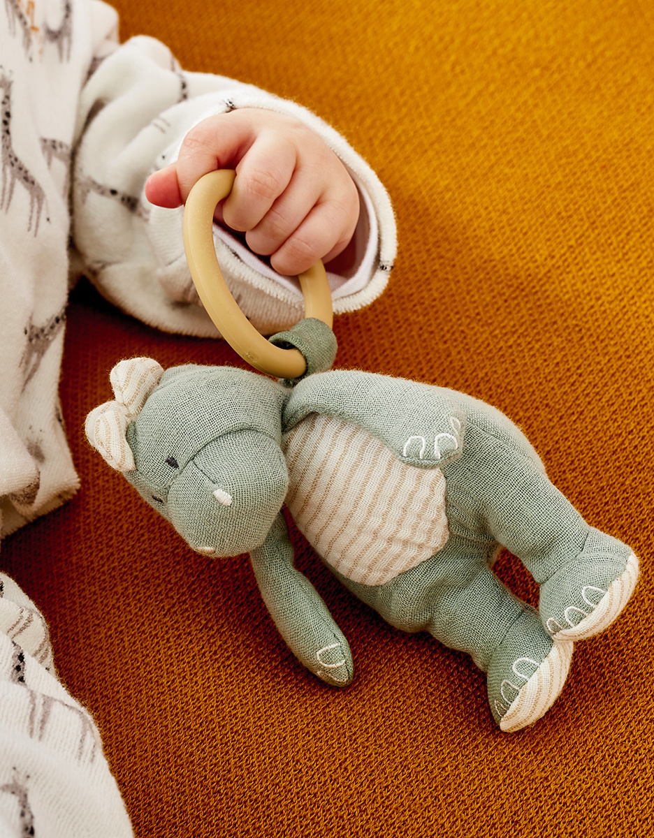 TSO activity set for baby gym