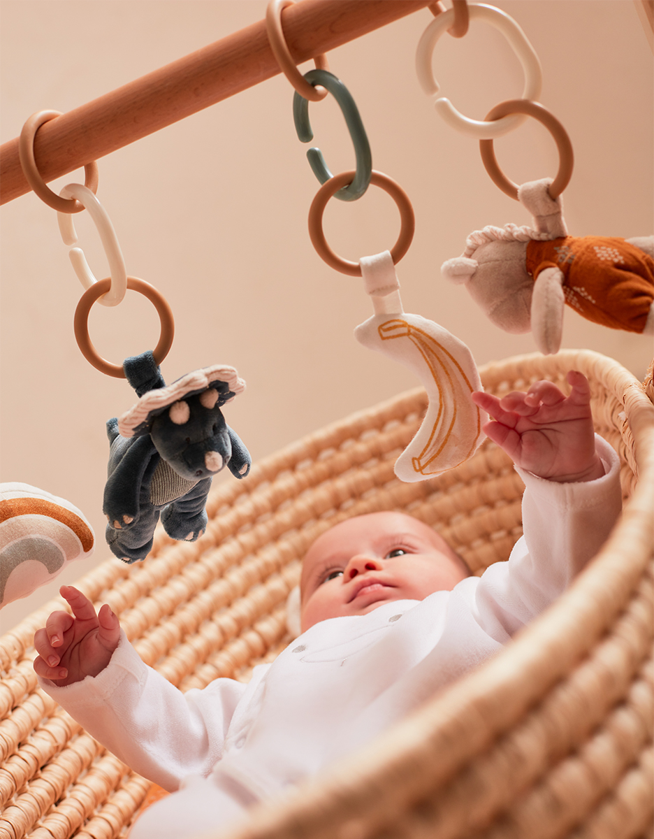 TSO activity set for baby gym