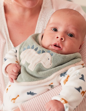 Set of 2 terry dribble bibs, green/beige