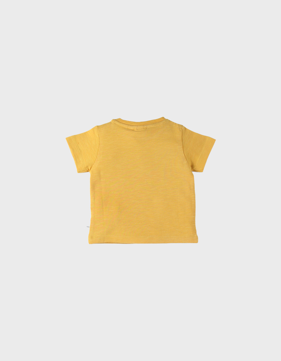 T-shirt, Coton